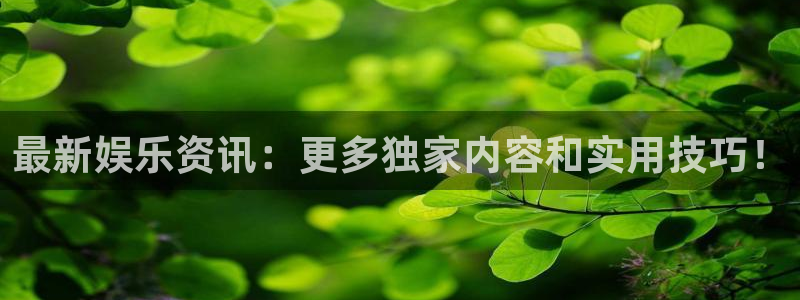 最新娱乐资讯：更多独家内容和实用技巧！