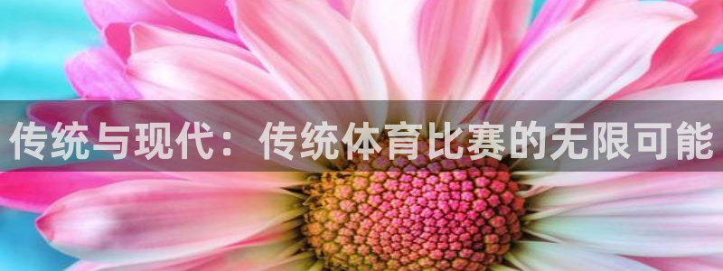 传统与现代：传统体育比赛的无限可能