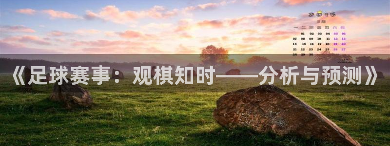 《足球赛事：观棋知时——分析与预测》