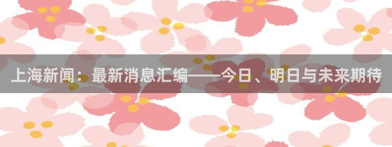 上海新闻：最新消息汇编——今日、明日与未来期待