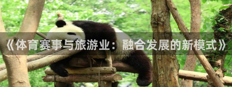 《体育赛事与旅游业：融合发展的新模式》