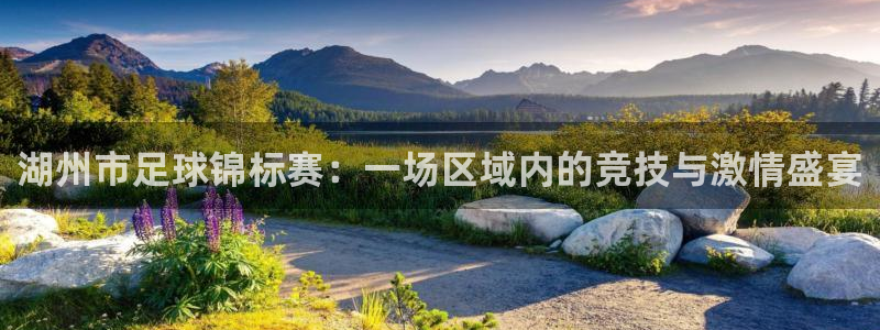湖州市足球锦标赛：一场区域内的竞技与激情盛宴